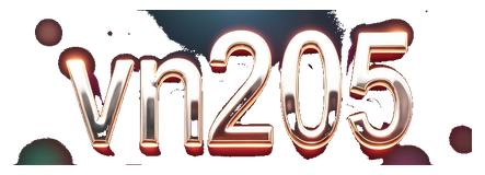 vn205 logo